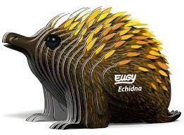 EUGY ERIZO/ECHIDNA MONTAR