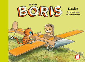 EL GATO BORIS - EL AVION